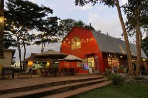 Shamba Cafe & Shop