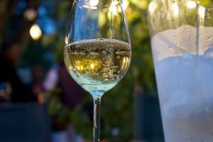 Wine Life